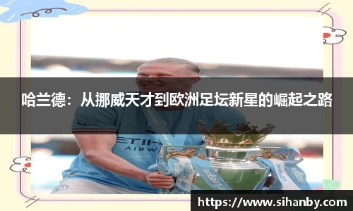 彩神VI首页