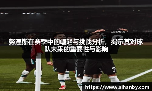 努涅斯在赛季中的崛起与挑战分析，揭示其对球队未来的重要性与影响
